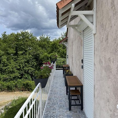 Appartements St. Pancrace Corte (Corsica) Exterior foto